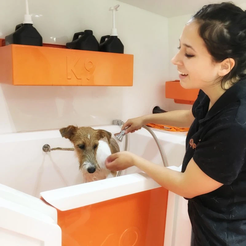 ROCKY`S mobiler Hundesalon – mobil ist nicht gleich mobil!