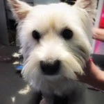 Barclay