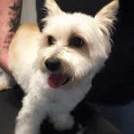 Gina