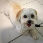 Mia