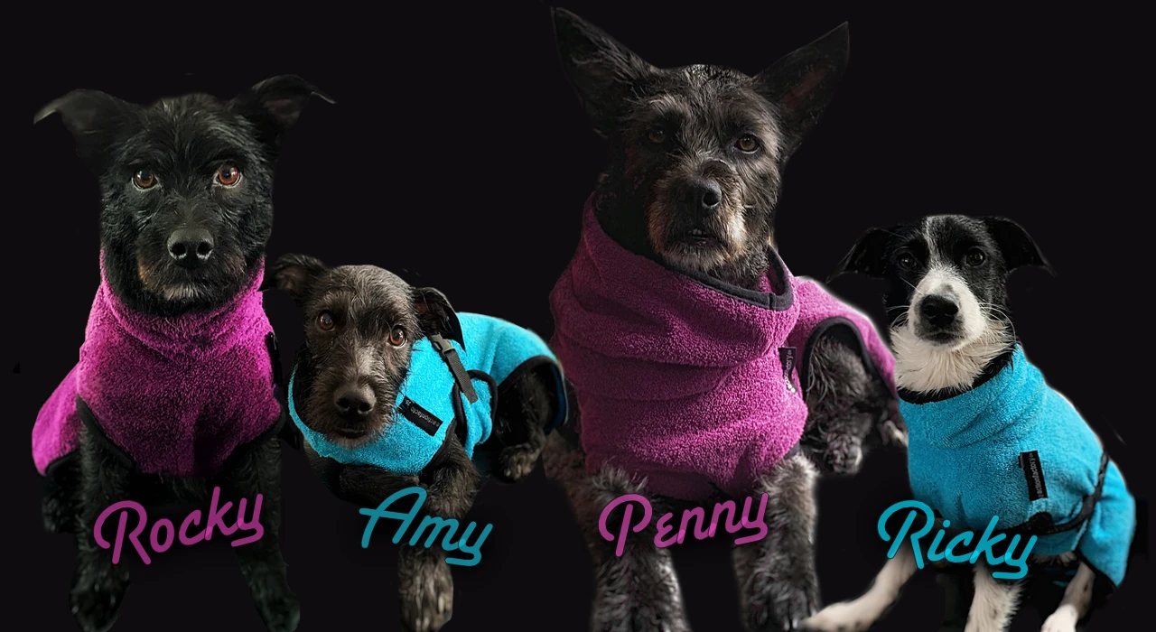 Rocky_slider_alle_dryup_names