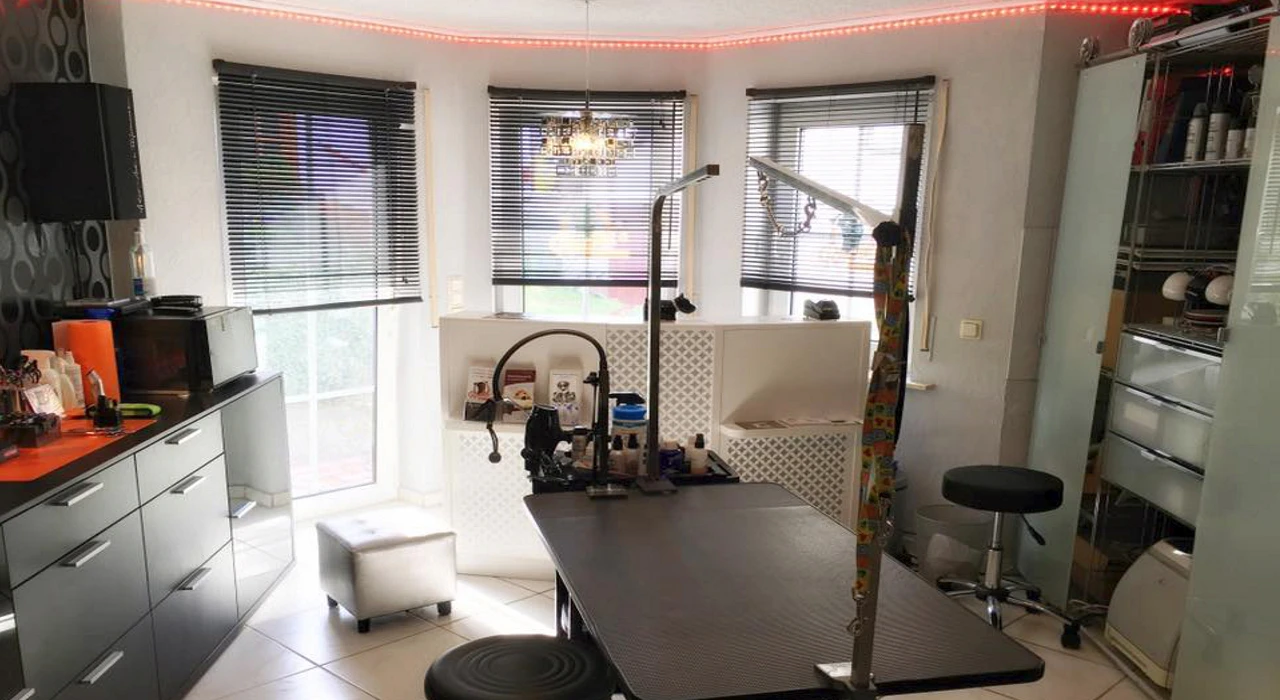Rockys_slide_salon_neu