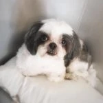 cute5