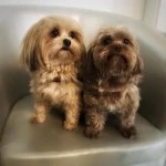cuties