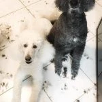 Bella und Lumpi