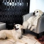 Maya und Polly