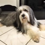 Paul