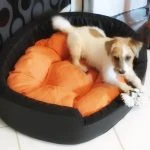 Pepper chillt
