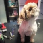 tyson