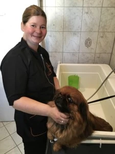 So badet Ihr Euren Vierbeiner
