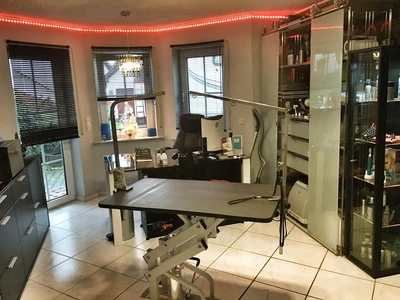 Was macht einen guten Hundefriseur aus?