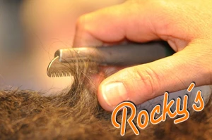 Bei Rocky´s wird von Hand getrimmt