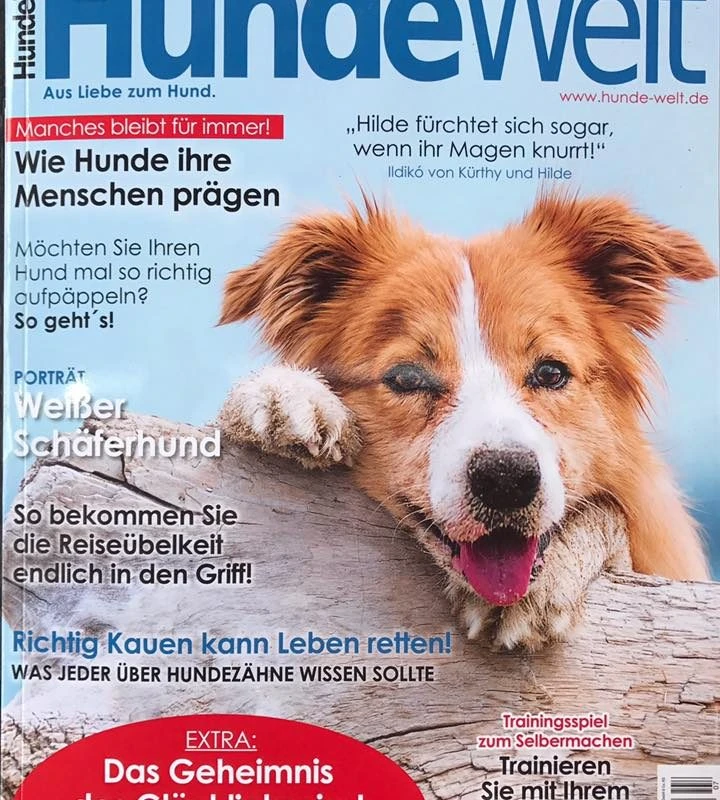 HundeWelt berichtet über den mobilen Hundesalon