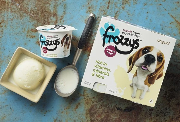 Gefrorener Joghurt für Hunde – gesund und lecker