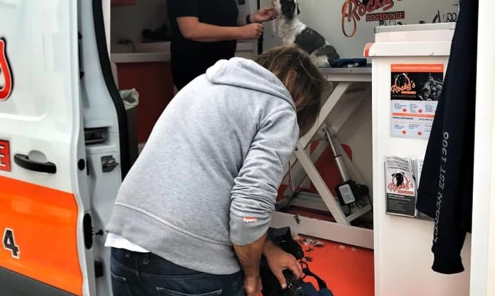 Dreharbeiten mit ROCKY´S für neues RTL Format