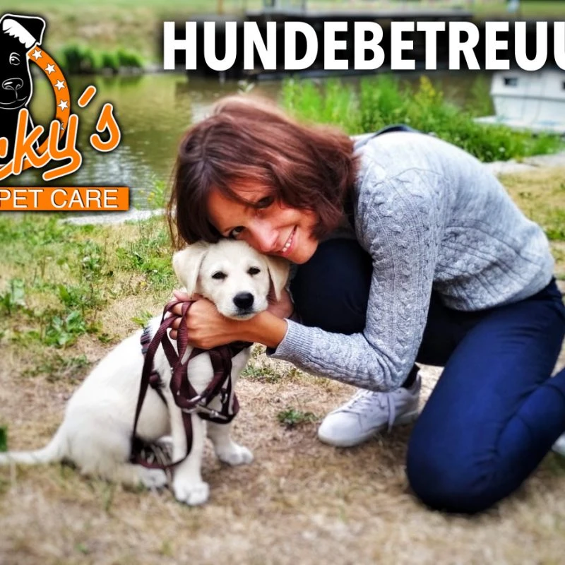NEU: Rocky´s Pet Care – Hundebetreuung